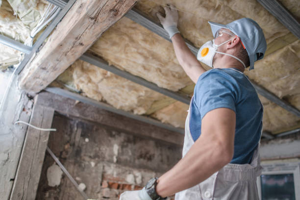 Best Insulation Maintenance and Repair in Wright Patterson Af, OH